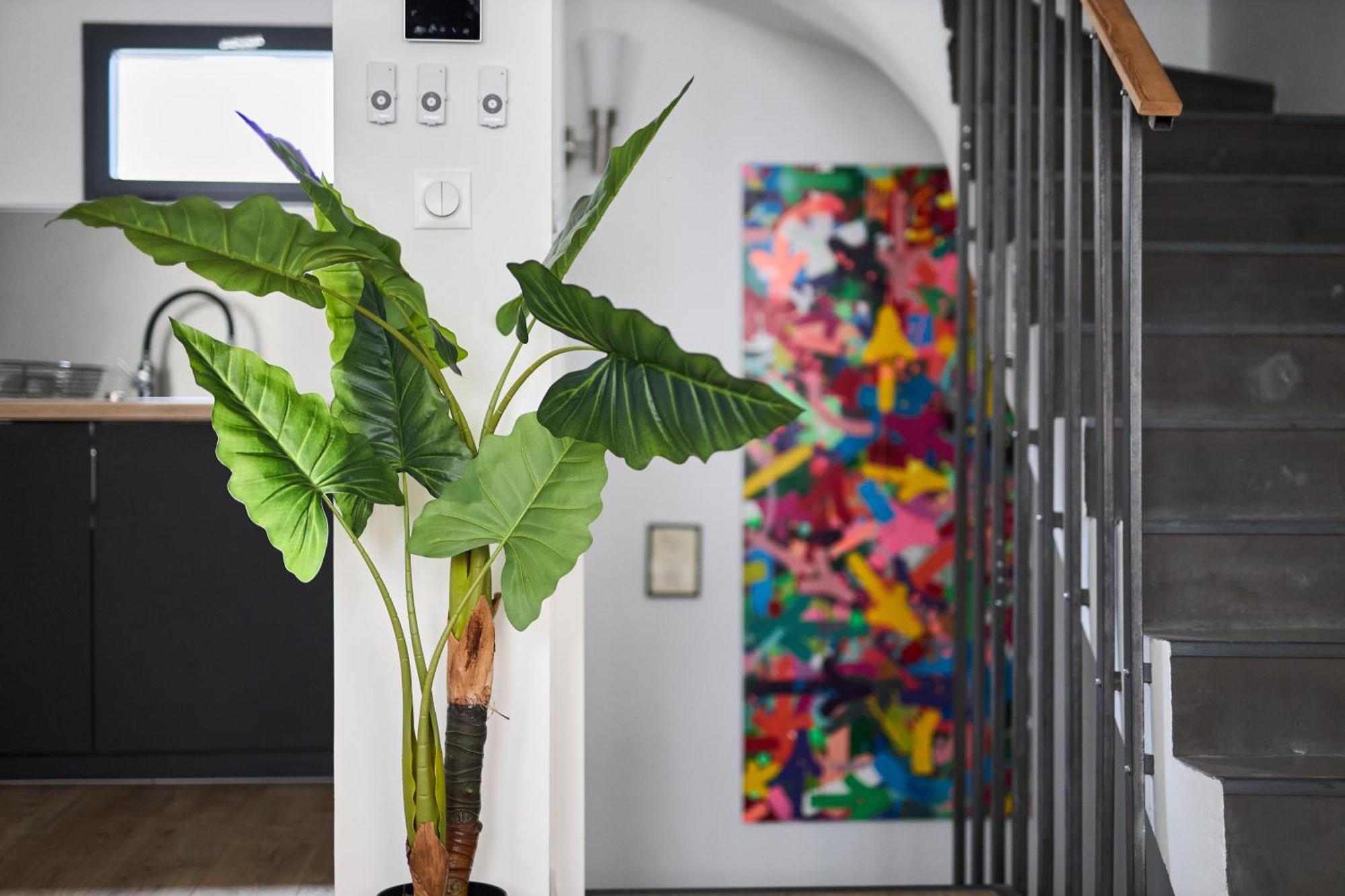 Mm Suites Town House Terrasse Ρενς Εξωτερικό φωτογραφία